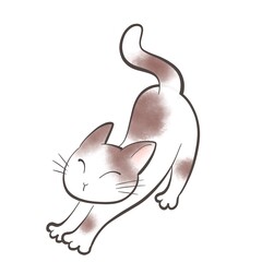 cat 66
