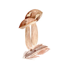 Brown wild mushrooms watercolor illustration on a white background. Hand-painted botanical design, perfect for kitchen decor, recipe books, packaging, autumn cards, textiles, and nature-themed