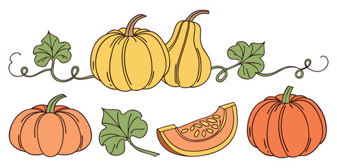 Vibrant autumn harvest pumpkins and gourds with swirling vines and leaves create a charming seasonal decorative element