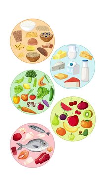 Animated Assembly of Food Groups on White Background in Circles