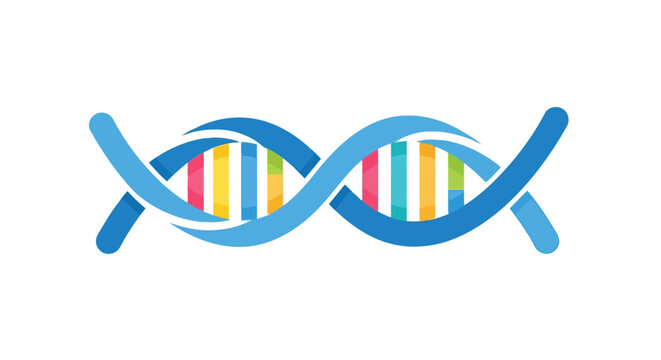 Stylized double helix dna strand with colorful base pairs