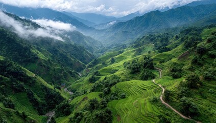 Fototapeta premium Lush valley with terraced rice paddies