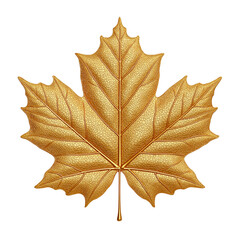 Obraz premium Bright golden maple leaf showcasing intricate texture, symbolizing the beauty of autumn landscapes. PNG image, transparent background