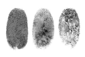 Collection of three fingerprints clear white background