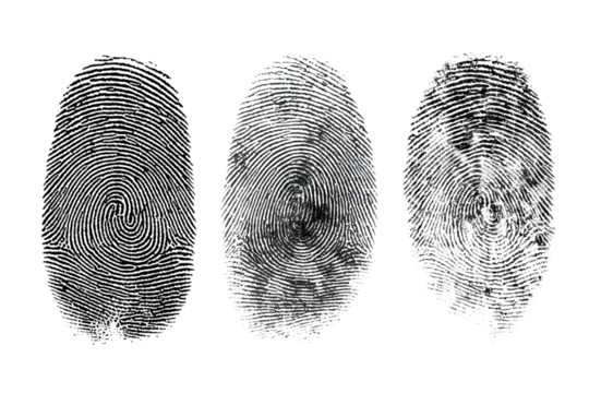 Collection of three fingerprints clear white background