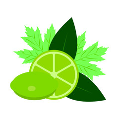 Fresh Lime Fruit with Green Leaves &ndash; Citrus Vector Illustration