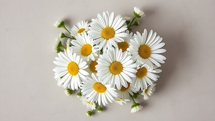 Fototapeta premium Fresh daisy bouquet arranged neatly on a neutral surface, showcasing natural beauty and simplicity.