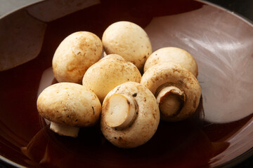 マッシュルーム