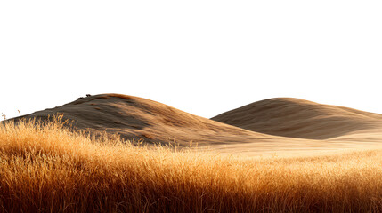 Golden wheat field and rolling hills, isolated on transparent background