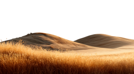 Golden wheat field and rolling hills, isolated on transparent background