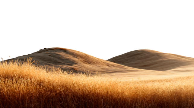 Golden wheat field and rolling hills, isolated on transparent background - Powered by Adobe
