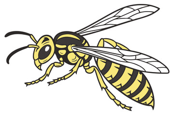 Detailed Vector Illustration of a Striking Yellowjacket Wasp with Prominent Wings and Distinctive Markings Portraying Insect Anatomy