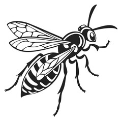 Monochrome Wasp Illustration Showing Detailed Wing Venation and Segmented Abdomen in a Bold Graphic Style Drawing Attention to the Insect