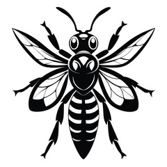 Striking Black and White Wasp Illustration Detailed Insect Art Portraying Nature's Beauty and Simplicity in a Monochromatic Design