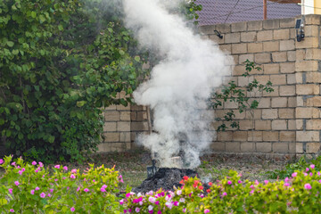 Smoke from a fire when burning dry grass in a garden plot