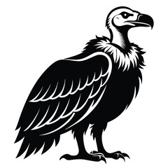 Monochrome Vulture Illustration Standing Tall Majestic Bird of Prey Wildlife Animal Detailed Feathers Prominent Beak Strong Stance Vector Graphic