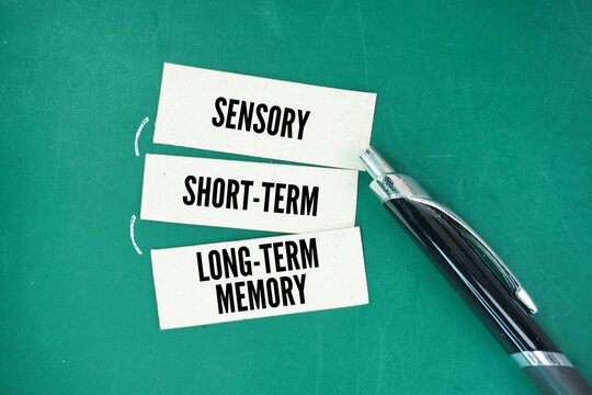 White paper with word Sensory, Short-Term, and Long-Term Memory. three main types of memory, representing a sequential process where information flows from the senses to temporary storage. 
