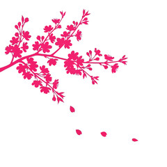 Vibrant pink cherry blossom branch gracefully shedding petals, evoking springtime renewal and natural beauty.