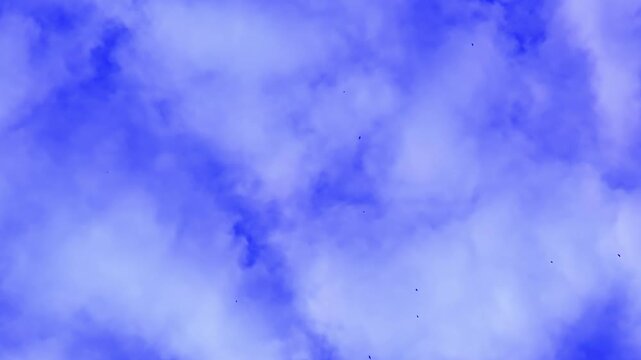 4K footage of swallow silhouettes flying gracefully in the bright sky with drifting clouds, creating a dynamic and natural scene.