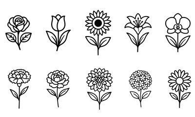 Vector Art Collection of Popular Flowers: Rose, Tulip, Sunflower, Lily, Orchid, Carnation, Peony, Dahlia, Daisy, and Hydrangea