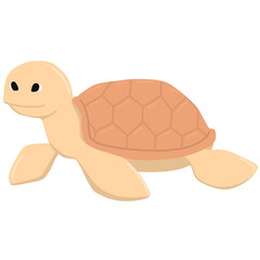 Sea turtle