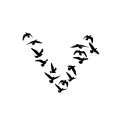Stunning flock of birds forming a heart shape against a clear white background, symbolizing unity and love
