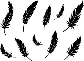 feathers vector illustration, feather, bird, vector, pen, quill, illustration, set, icon, plume, silhouette, pattern, wing, symbol, art, light, drawing, ink, design, fluffy, nature, writing, soft, obj