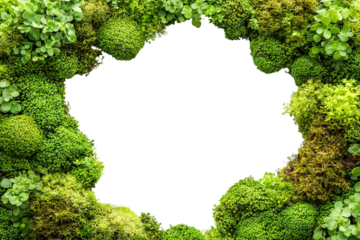 Natural green moss frame with plants forming circular border, isolated on transparent cutout background