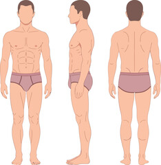 Male human body anatomy full front side back view vector illustration isolated graphics vector