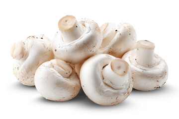 Button mushrooms isolated on transparent or white background, png