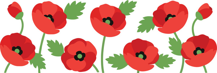 Red poppy flowers floral border decoration elegant nature bloom isolated vector illustration design vector