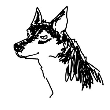 ハスキー犬