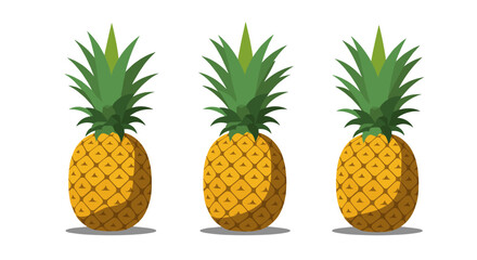 Triple pineapple design in flat style with shadow on white background