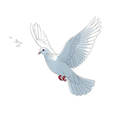 Obraz premium dove isolated on white background freedom concept life