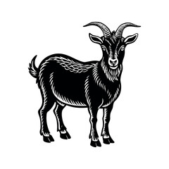 Obraz premium goat silhouette 