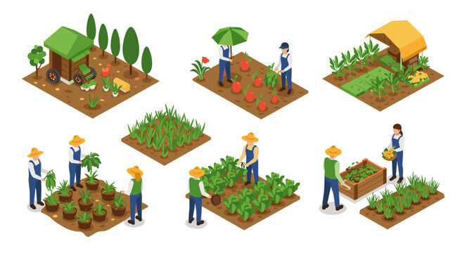 Isometric urban farming scenes with farmers working in various garden setups