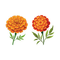 Beautiful Orange Marigold Flower Bouquet Illustration