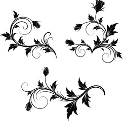 Ornate floral flourishes elegant vintage swirls decorative elements for design projects vector