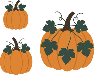 Autumn harvest pumpkins with green leaves seasonal decoration festive fall celebration vector