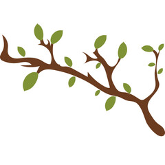 Tree Branch Plant