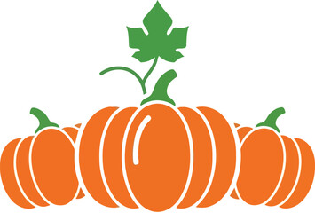Autumn harvest pumpkins fall seasonal celebration natural agriculture food organic produce vector
