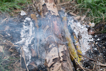 Bonfire with burning firewood
