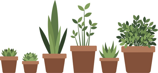 Collection potted houseplants indoor plants botanic garden foliage home decor nature green vector