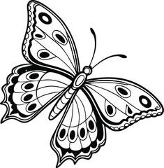 Black and white butterfly vector illustration on a white background