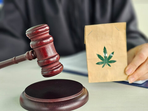 Legal proceedings regarding cannabis with a gavel and marijuana identification document