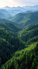Fototapeta premium Misty mountain range, lush forests