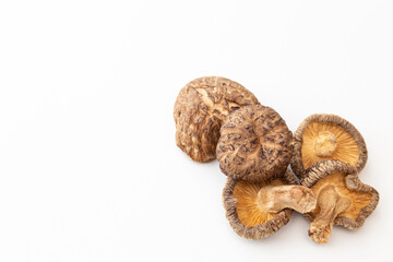 干し椎茸　白バック