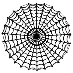 Obraz premium Intricate Spider Web Pattern with Radiating Lines and Symmetry