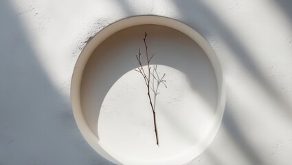 A delicate arrangement of dried branches positioned within a circular recess in a smooth, textured white wall.
