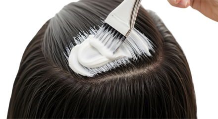 Closeup of hair dye being applied to dark hair with a brush isolated on white background